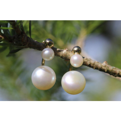 Ørehænger i 14 karat guld med 2 ferskvandsperler   (11/25)