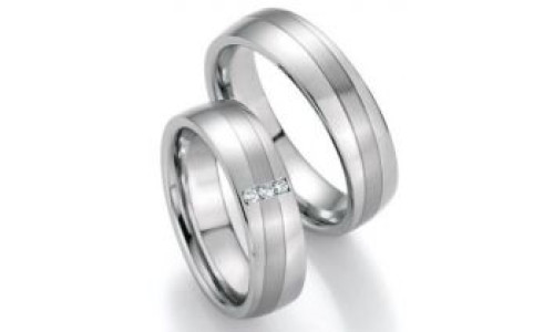 Vielsesringe i Stål - Evolution   (08/22)