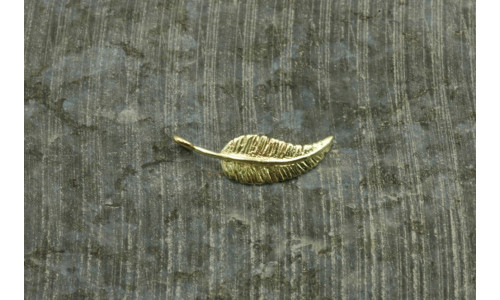 Vedhæng - Fjer i Guld   (11/25)