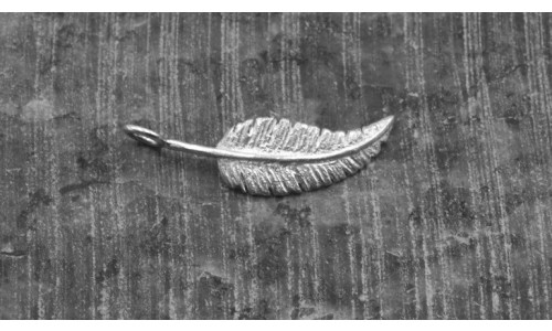 Vedhæng - Fjer i Hvidguld   (11/25)